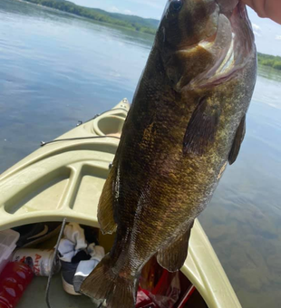 Bass Fishing Delight